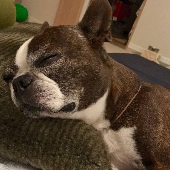 88684536 4df1 4d8b ae42 9882e093a933