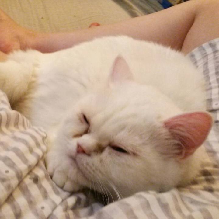 886884e2 72fa 43cf 88db bf9a6435ed8c