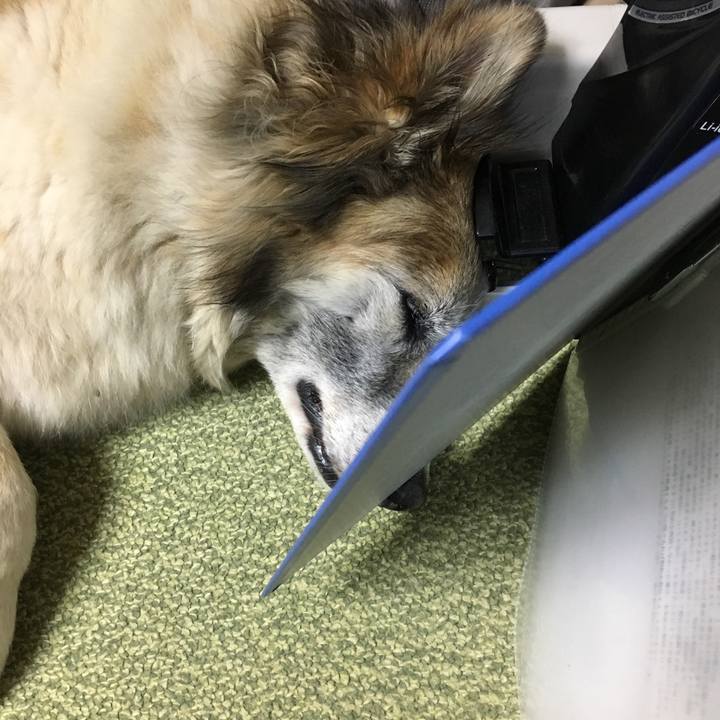 8868b94b 21e4 4fc7 8e0d 25ae48c87afc