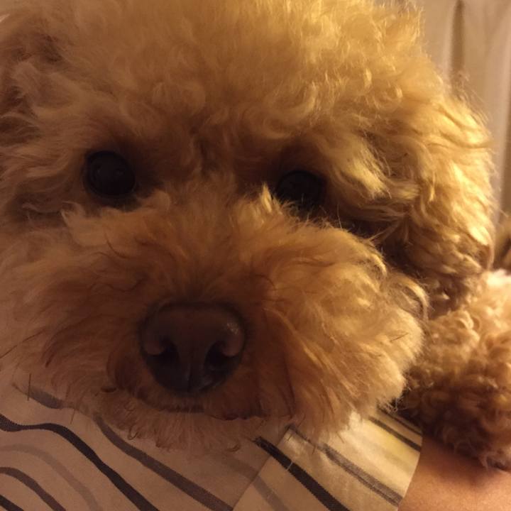 88698559 f3d1 49a1 94e0 25acfb81696e