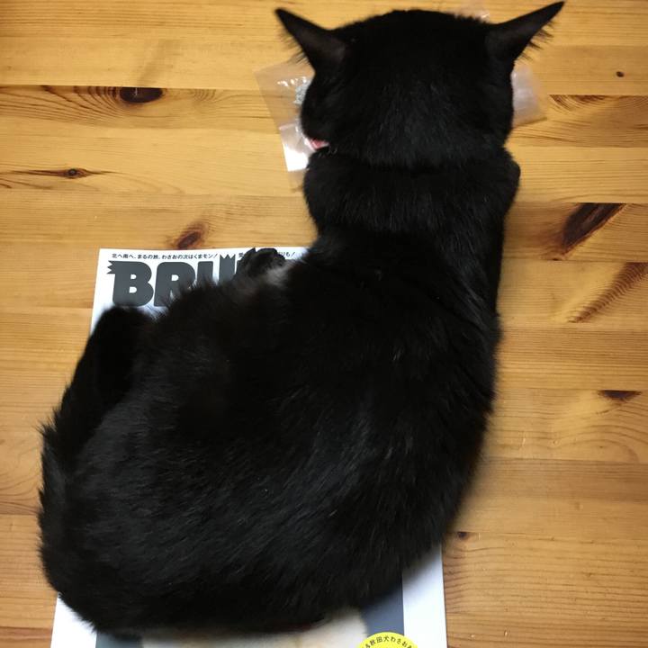 8869874d 76ca 41f6 9db3 95baf107c7dd