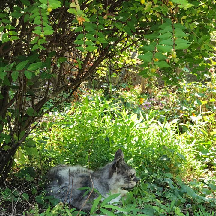 8869d796 f2f7 4ec6 b837 5cdb3307bea2