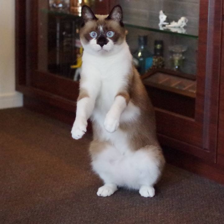 886aacc2 da52 4cae 8d62 c0fd6fb97678