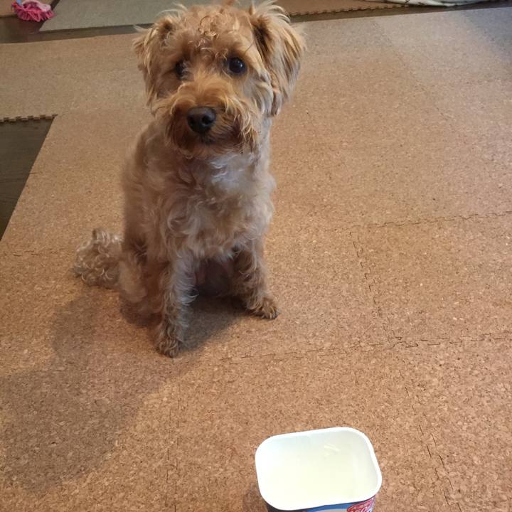 886b6eff 90a2 40d7 b46b 57cf46e411d5