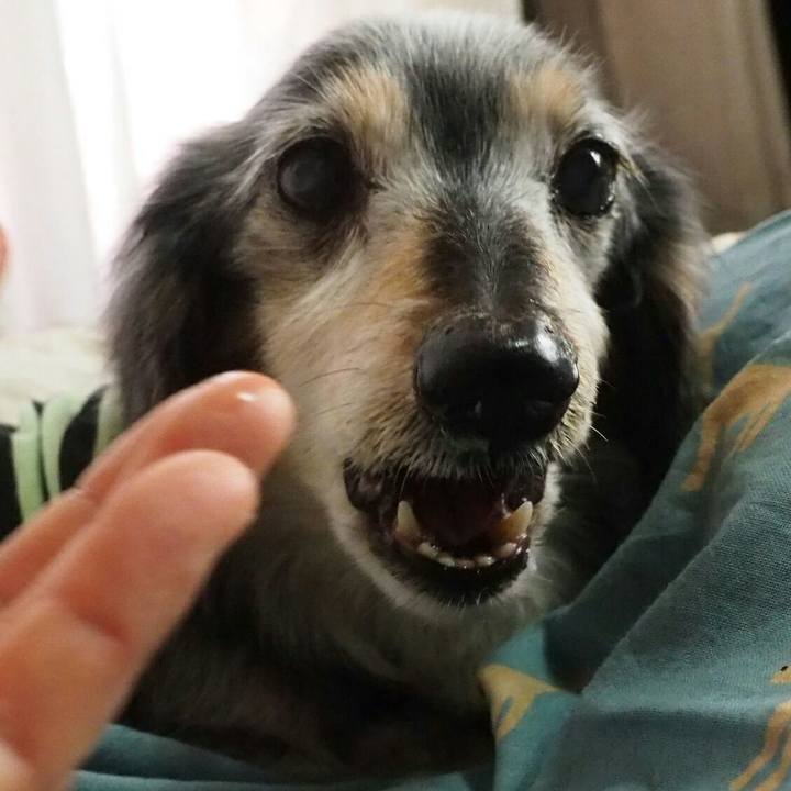 886bf269 0b64 4eef 843b 541e94092136