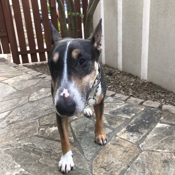 886c8280 85e9 49b9 9c3f aa362aa221d1