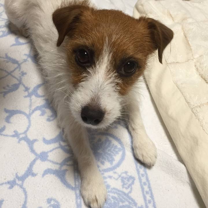 886cb613 4818 490e b850 e3b5c6839c1a