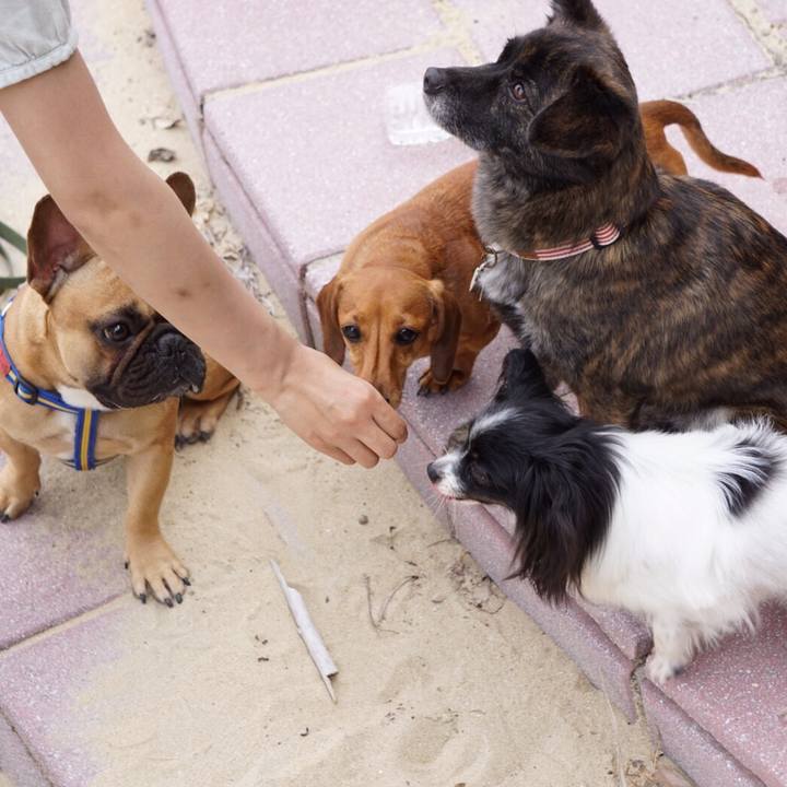 886ce1e6 316f 4b5f 87af 084fd659be09