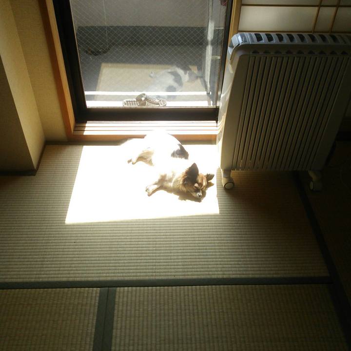 886d63f0 db84 4e67 8e7f 867195f1732f