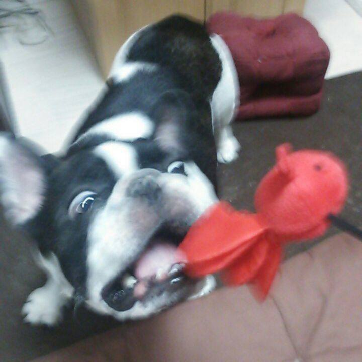 886da215 dfca 4f2f a2c9 5c3ffe153347