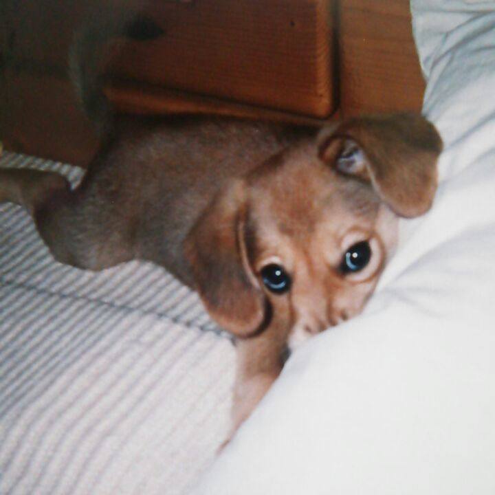 886de0f3 6a07 4983 81b9 4fcf7605bc76