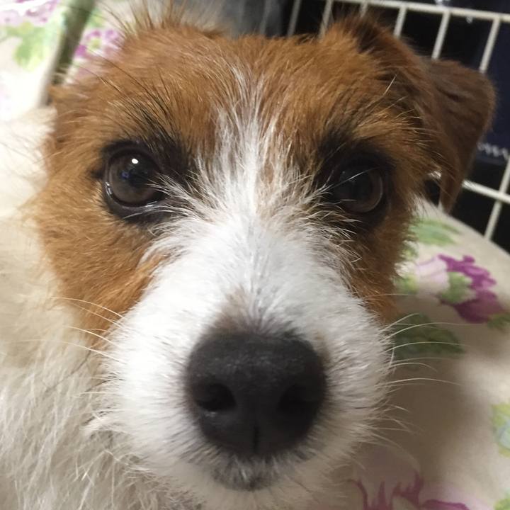 886e351b 5593 4742 888b 9049d89a938f