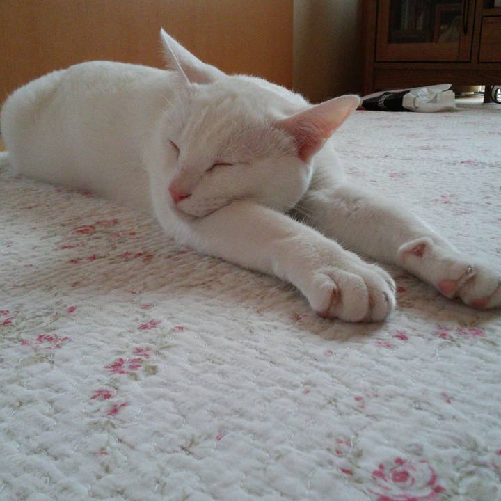 886ea025 0b2a 4923 bce1 c9037f180035