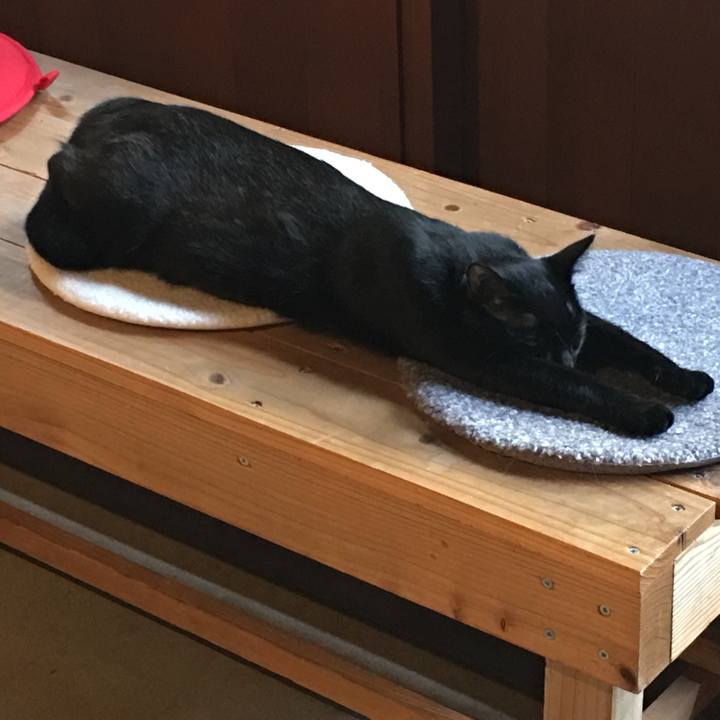 886eb30c 9618 45ec b7db 354f1d73bf00