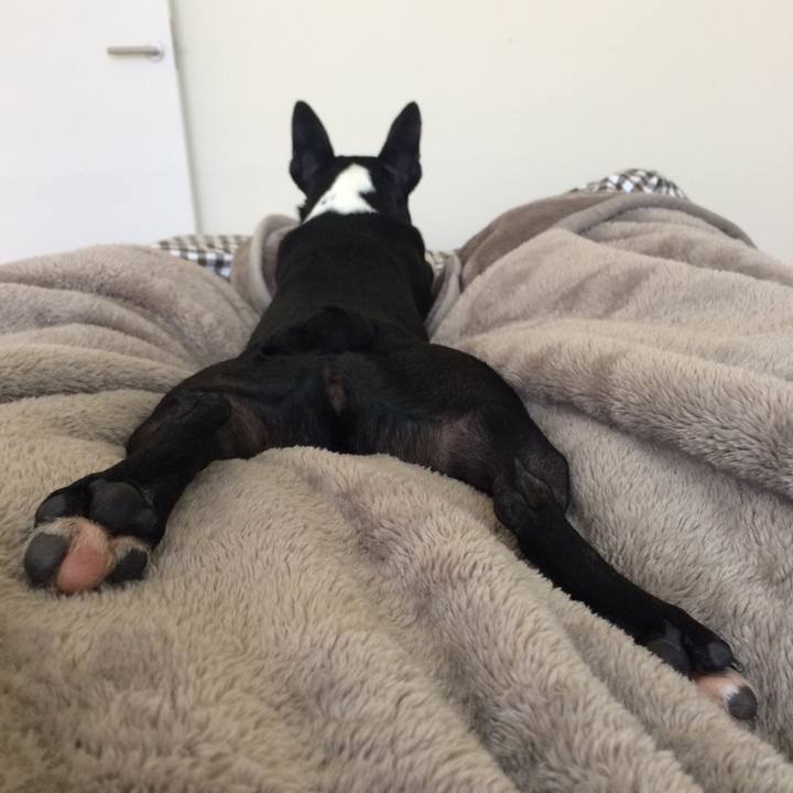 886ef09e d535 48ca 9ebb fe44faf1fc7e