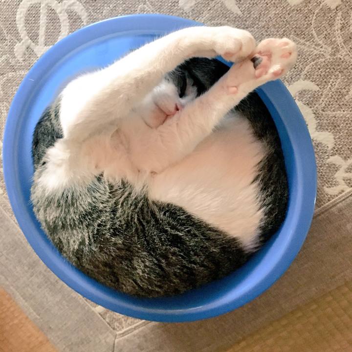 886f13df 5c78 4cb6 9c11 ea218d4ad985