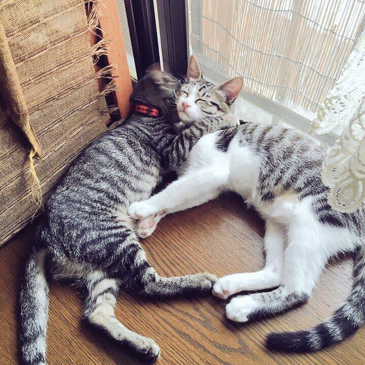 88704dd6 9066 43c3 b98f 2690b0622460