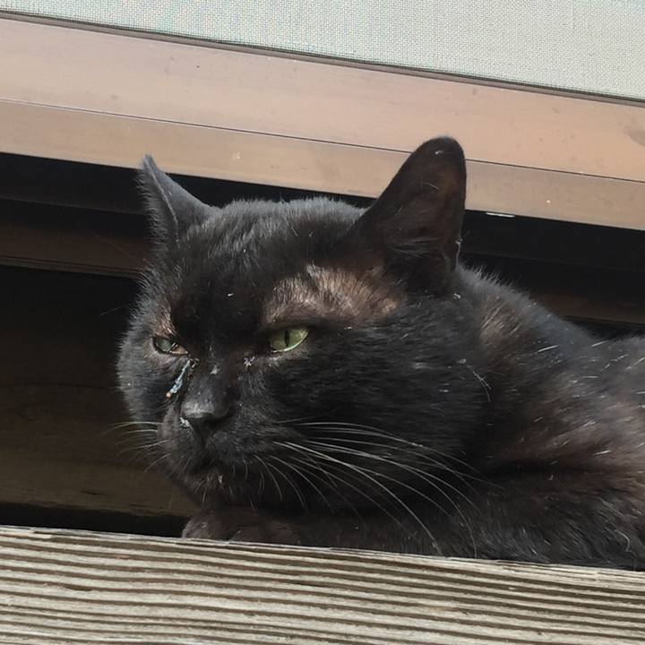 88711dc9 f510 4dcd b2e2 2dc3f93d4aef