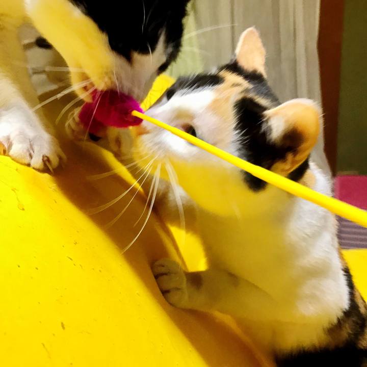 8871b97d 6922 4e78 9b4a ac110c0232a4