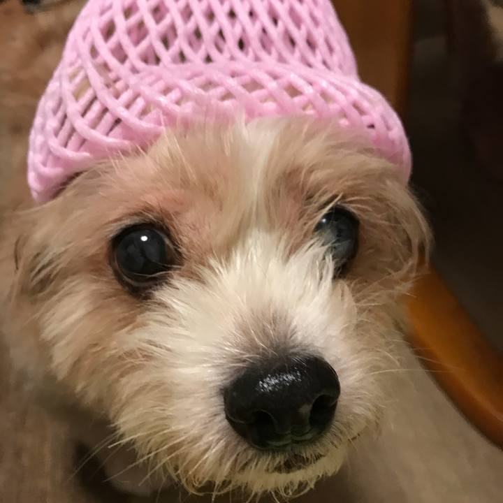 88721ca7 4af3 4bb3 96dc 6aff5f325dfe