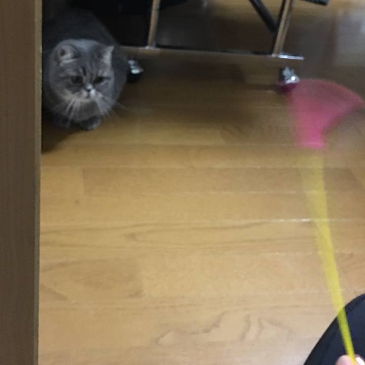 8872d579 ac05 4db3 b6e3 bf03d30c759e