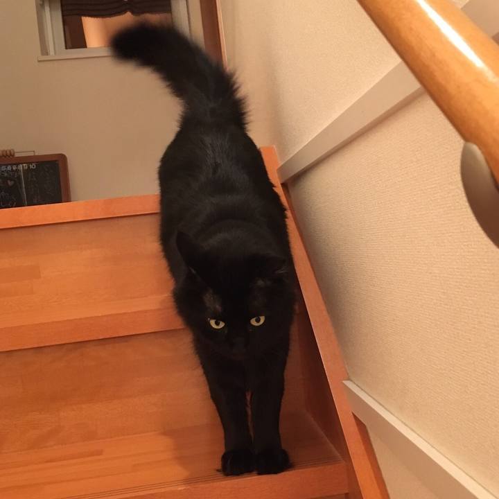 8873a1ad 363d 4c38 b9f2 f4b2651c36c3