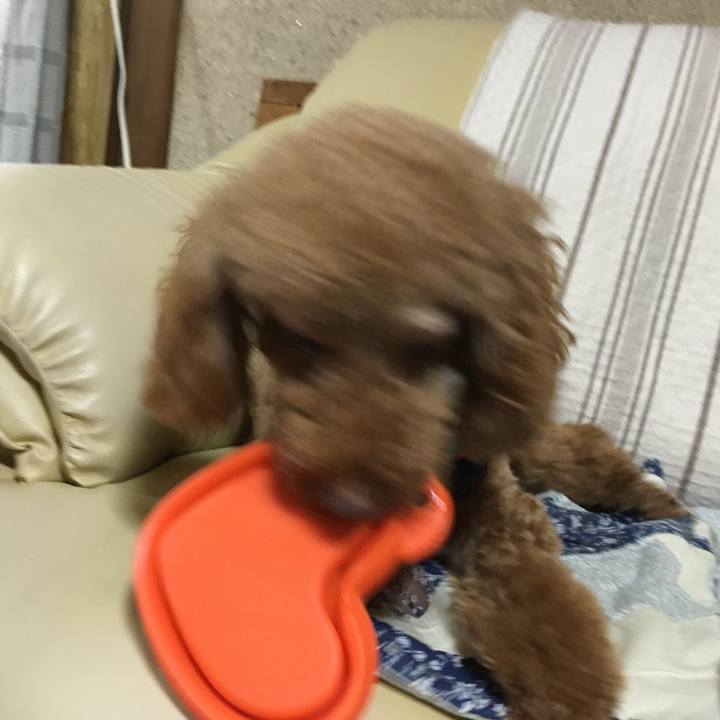 88748606 579d 4a7d 8afb d6ead150328c