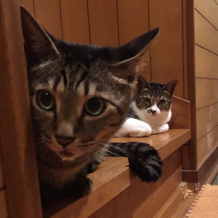 88751832 d5e5 42a3 8d27 0fbf858a9c16