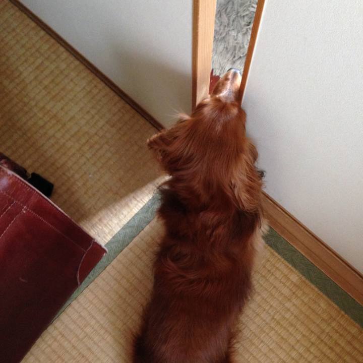 887576e6 eb7b 4b7e b9bc d59d914d5dbc