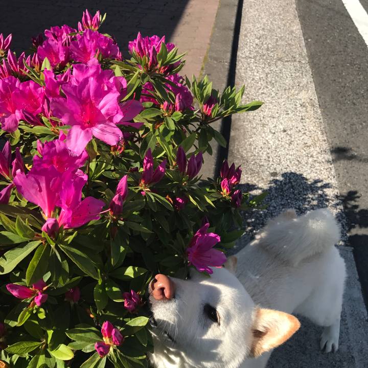 8875b74e 84ad 4a79 bdc5 e9fdd674bc62