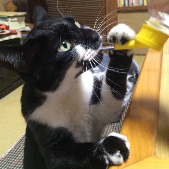 8875c7ad 8e17 4cf3 ad8b a60130c56722