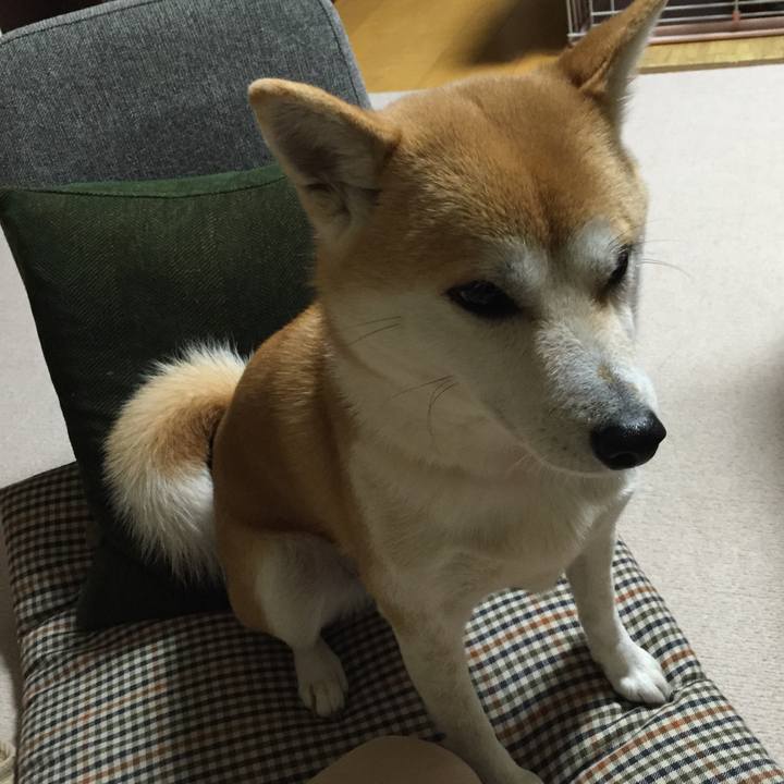 88765cc2 9928 4ced 8b16 e5f4e37bca53