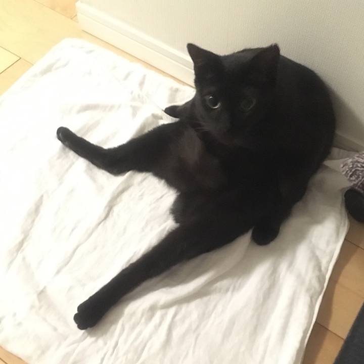 8876f783 4fe0 4de4 b520 e90bcc0096ad