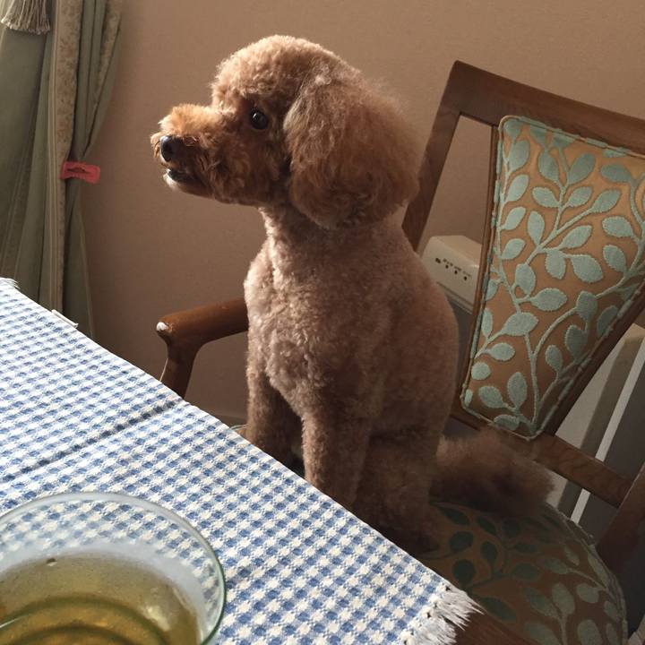 88772e6b 2ac7 408f a552 02e2659cef9b