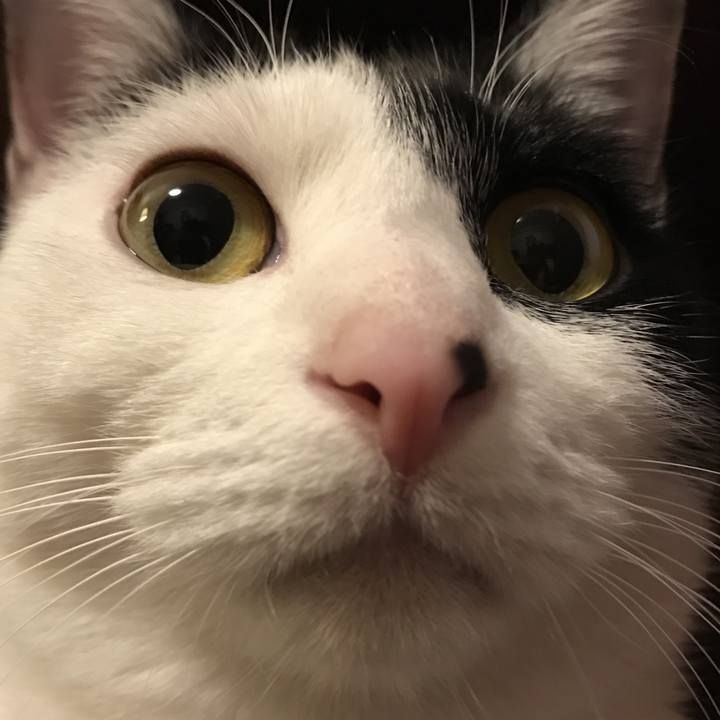 88777907 bbee 4de3 9f1a bae8ca426dbf