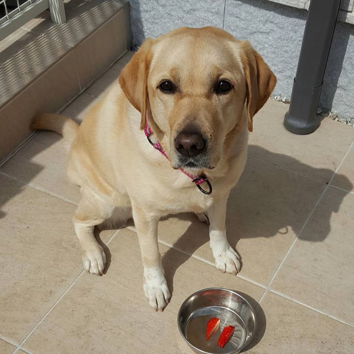 8877d6e4 7a3d 442a bace f9e4df4b4136