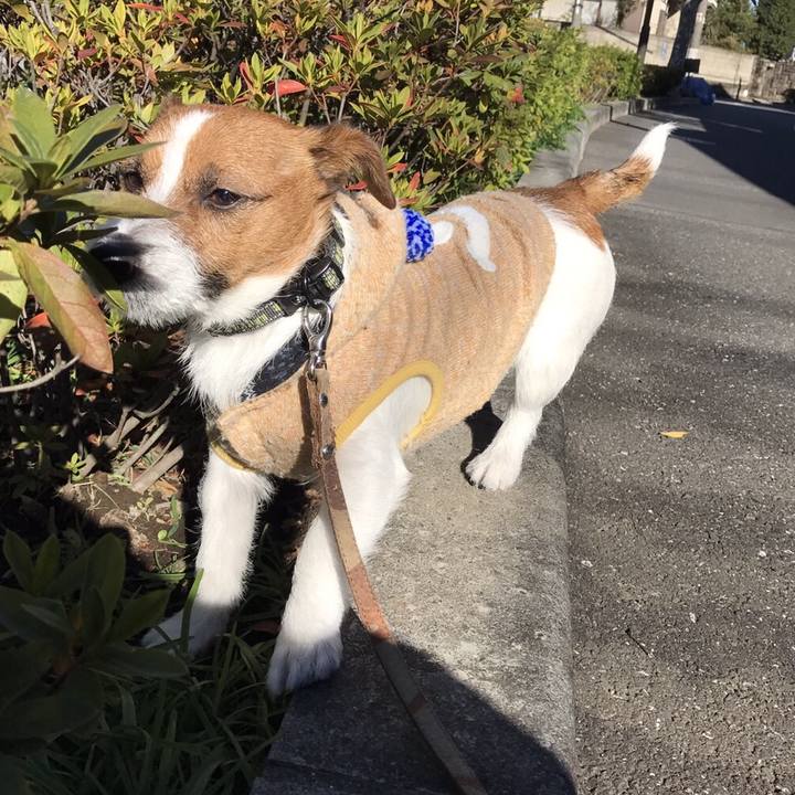 8878038c 4f84 4dfd aa86 7f2344316f2f