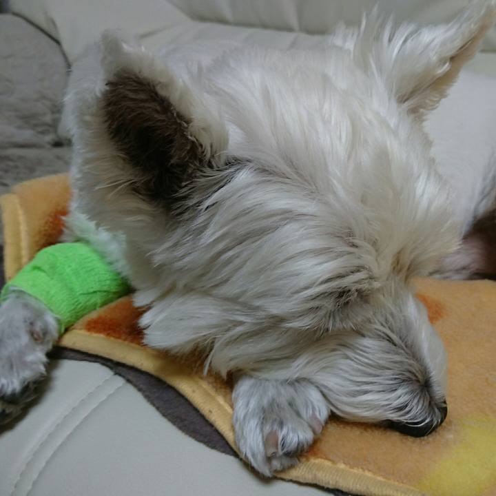 88786fba 90e1 4d5d 812a 96e1982d0e79