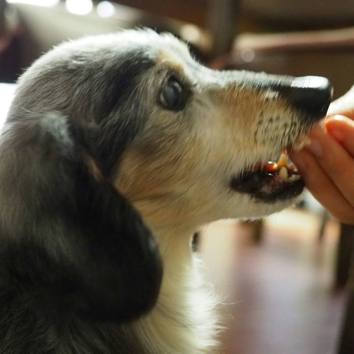 8878960e c566 4e3f a127 441aee71863f