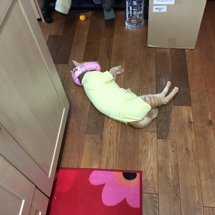 8878cdea eaa5 46ea b462 f7607fb912f4