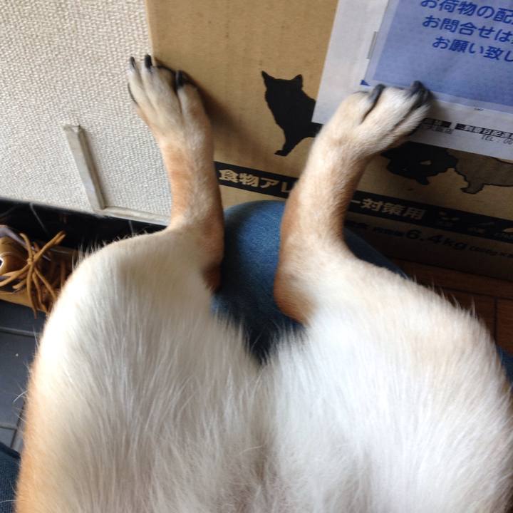 8878ded0 8960 4f49 a7aa 1a01e1bae612