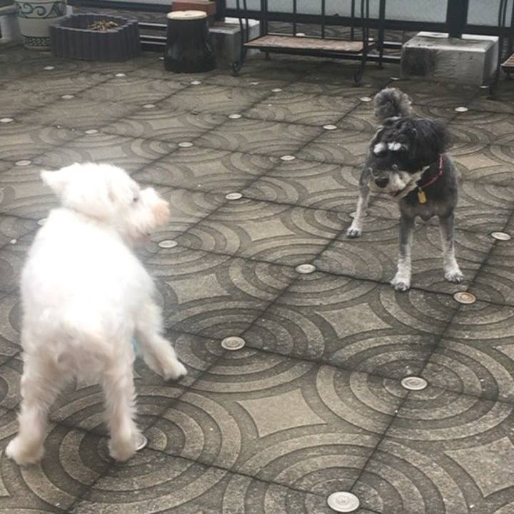 887957f9 f888 444a 937d ecb53d7b9840