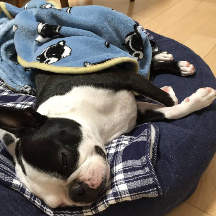 887989ba 37e9 4c5b b490 d19ba96b153f