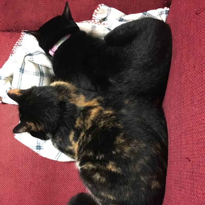 8879d887 c783 4644 bb7e 559f6e25b98f