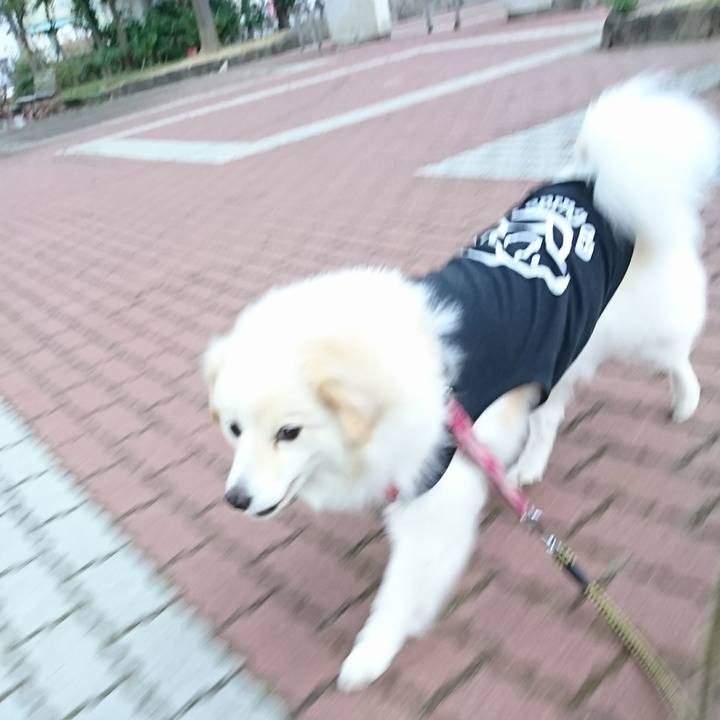 8879df45 83fe 4a5d b643 8c34e2663947