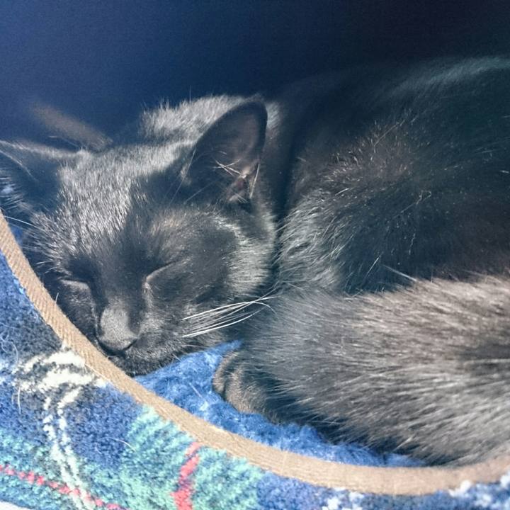 8879e538 76aa 4165 8fd3 e4278e8212ad