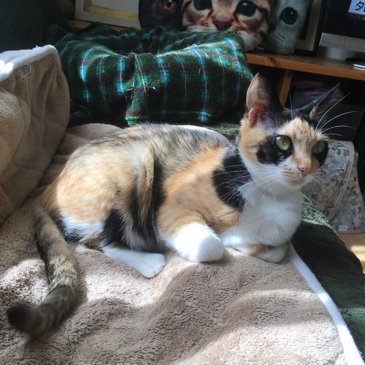 8879f3b5 61bb 4703 bff7 402de4274340