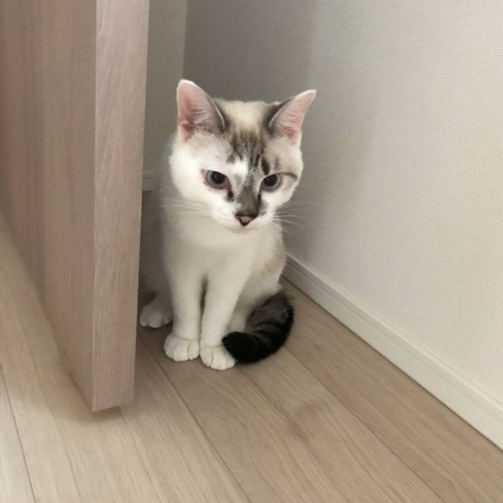 887a2bfa 8e00 4e1e aa4c de0a0c545832