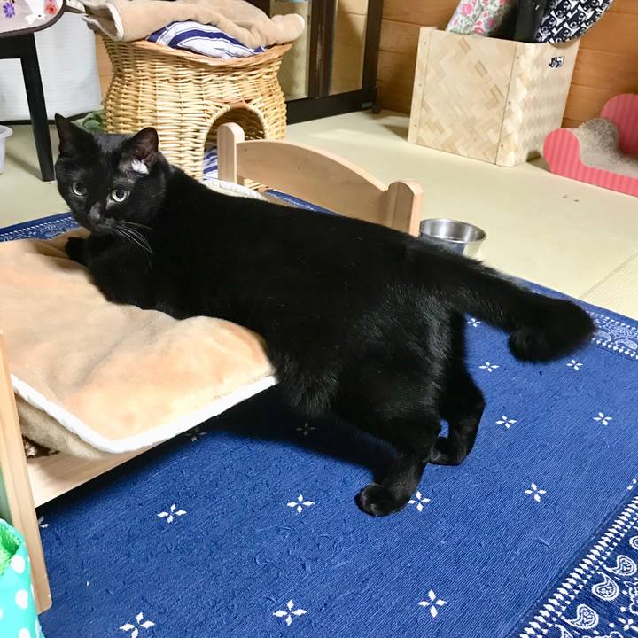 887a2df2 0e1c 4c8a 9060 9f8dbc2b4335