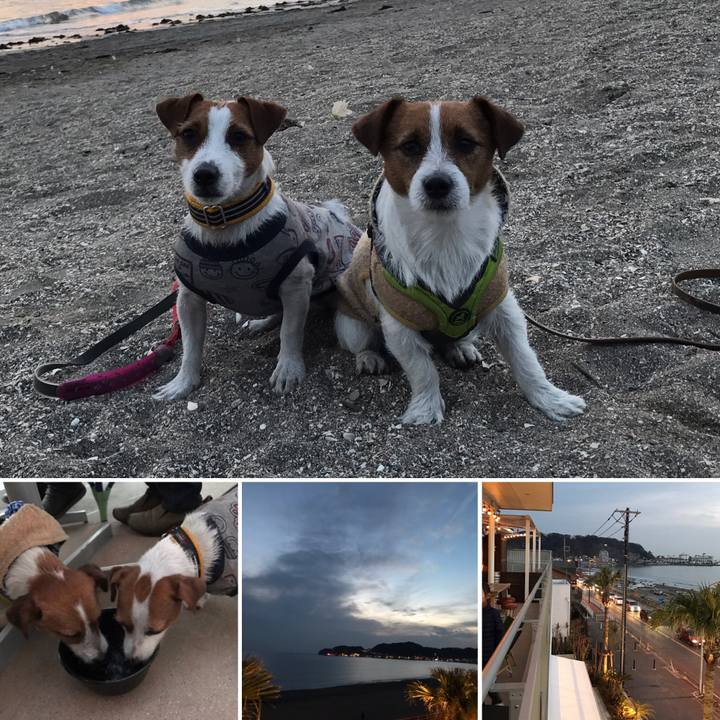 887adcf3 f0ee 4613 a8f7 3357ab640f0e